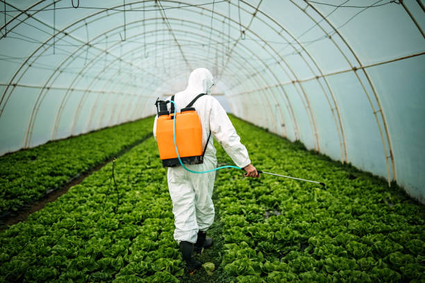 Best Commercial Pest Control Services  in Rolling Hills Estates, CA