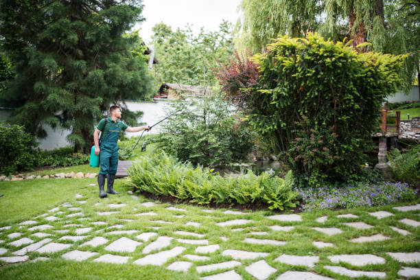 Best Emergency Pest Control  in Rolling Hills Estates, CA