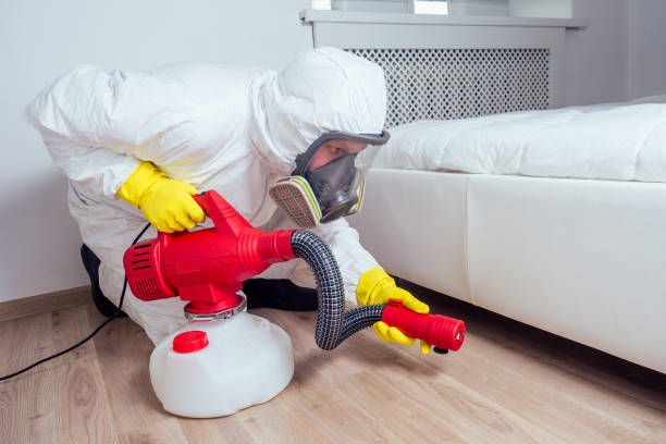 Best Mosquito Control Services  in Rolling Hills Estates, CA