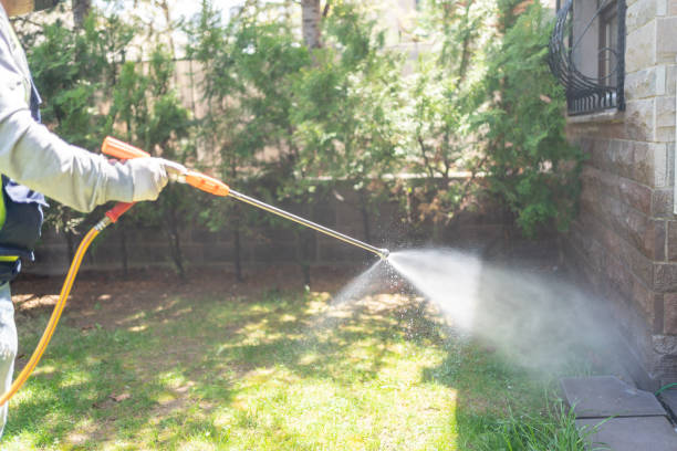 Best Rodent Control Near Me  in Rolling Hills Estates, CA