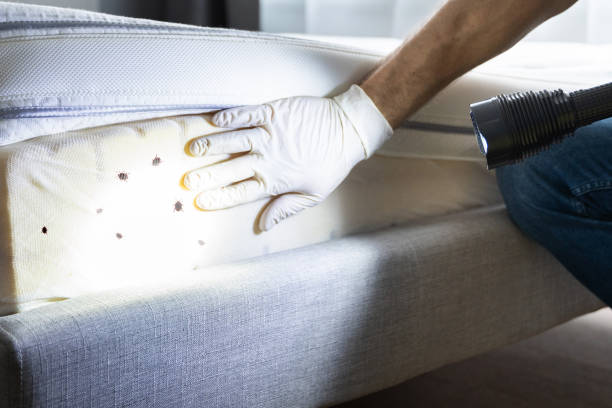 Best Bird Control  in Rolling Hills Estates, CA