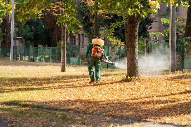Professional Pest Control in Rolling Hills Estates, CA