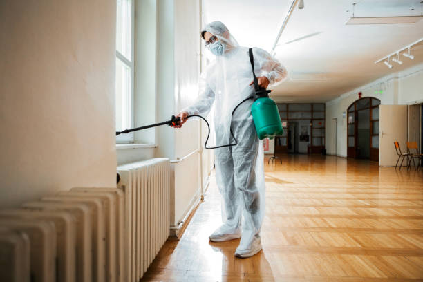 Best Bed Bug Extermination  in Rolling Hills Estates, CA