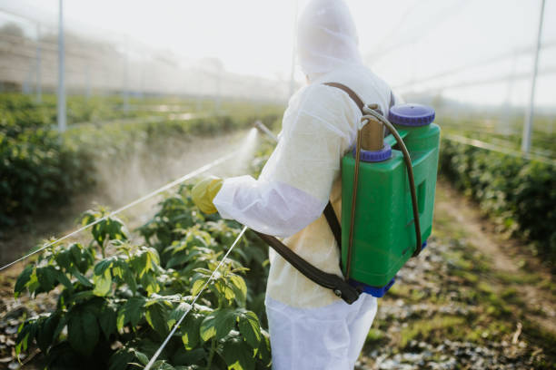 Best Residential Pest Control  in Rolling Hills Estates, CA